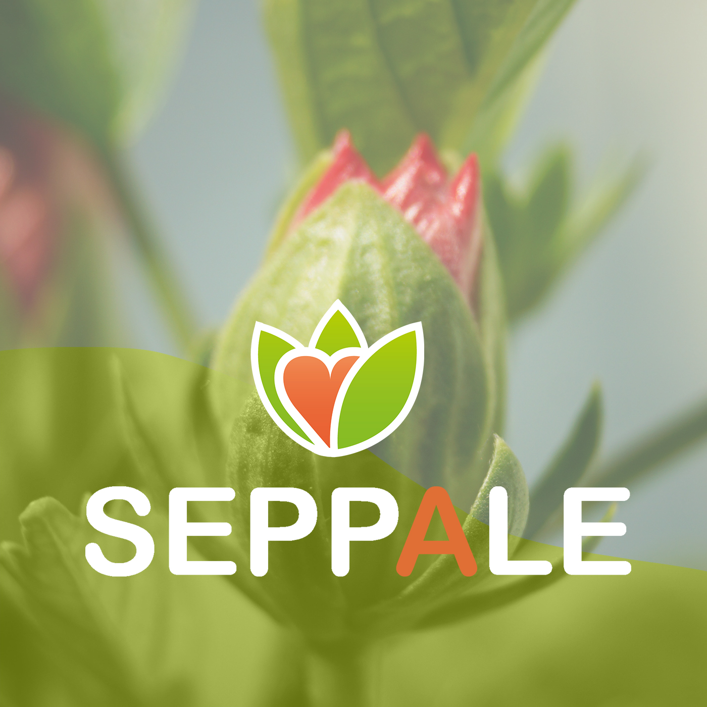 Seppale